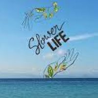 slower life slower life